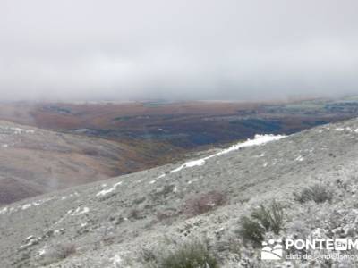 Hayedo de Pedrosa - Parque Natural Sierra Norte de Guadalajara - Hayedo de Tejera Negra